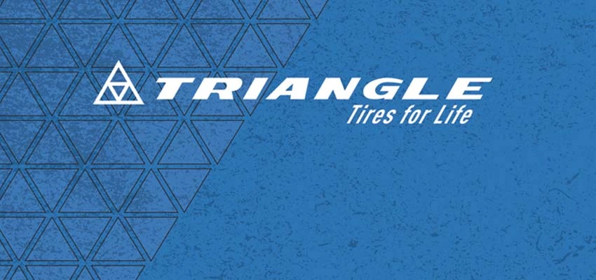 (Triangle) معرفی شرکت تراینگل